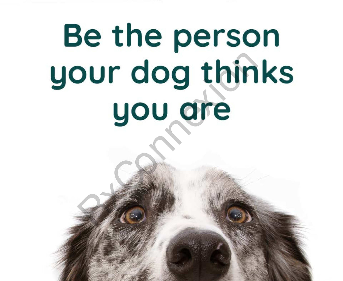 Social Media - Be the person