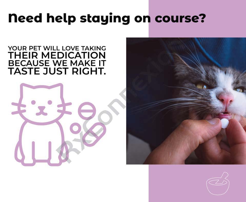 Social Media - Cat meds