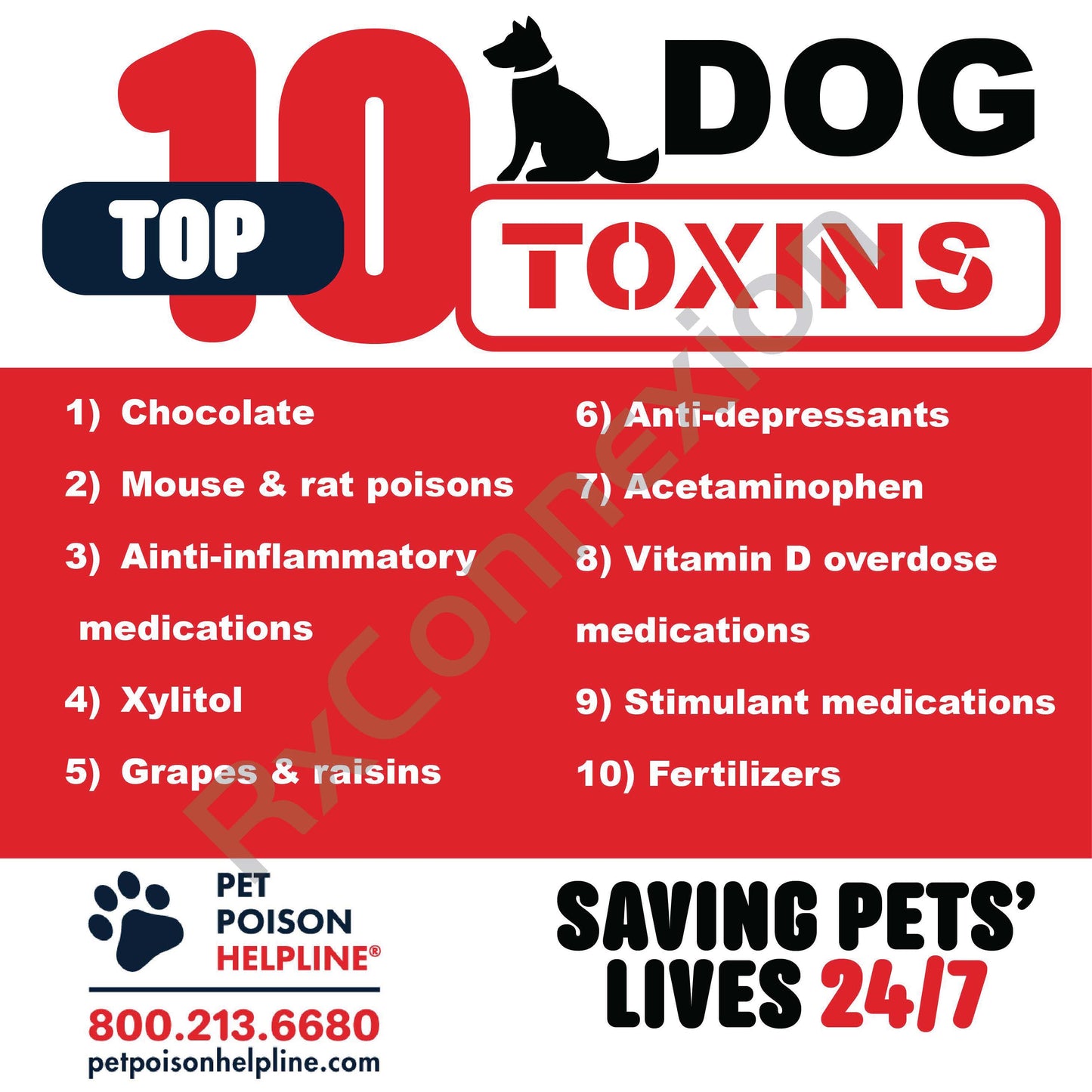 Social Media - Pet Dog toxins