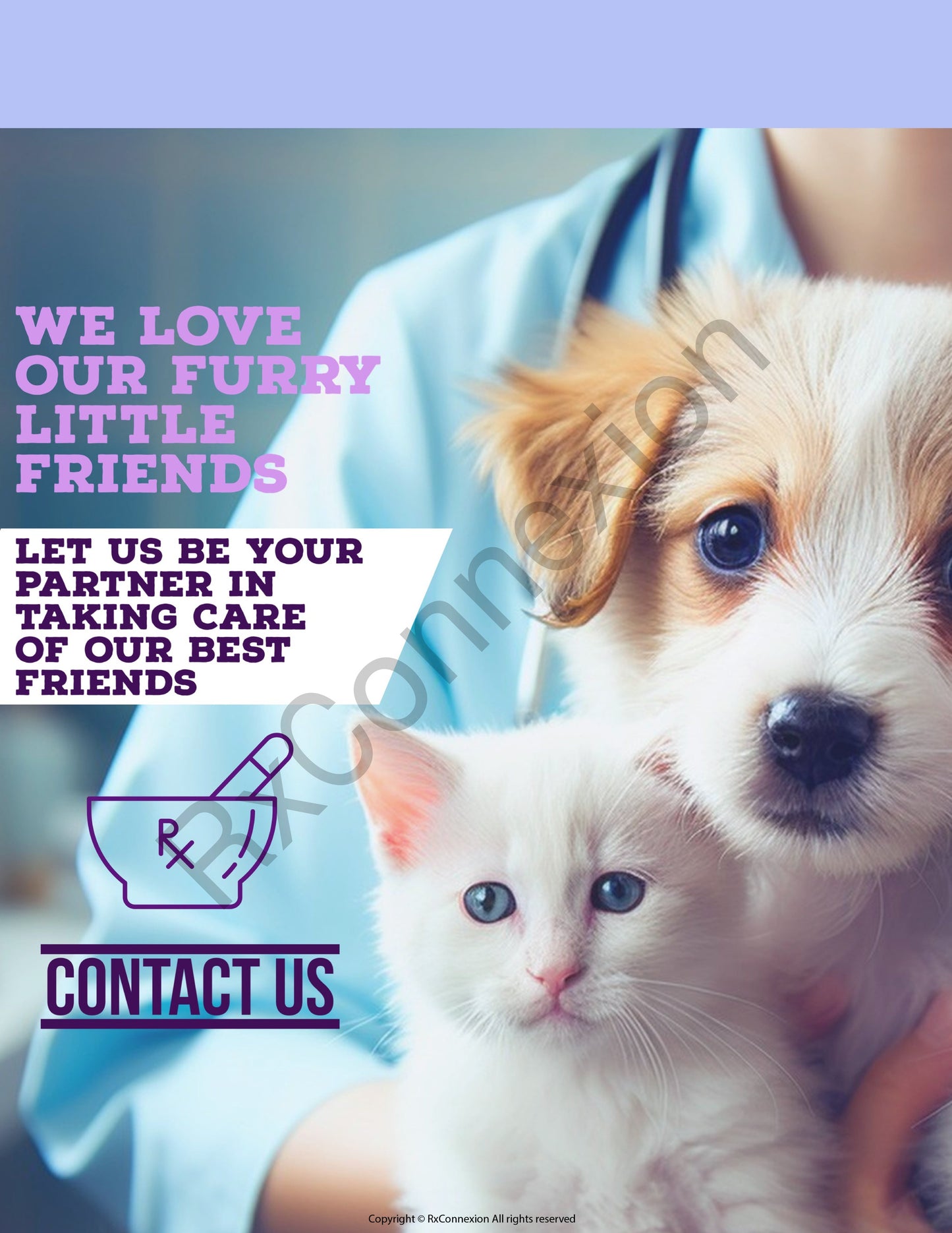 Flyer - Furry little friends