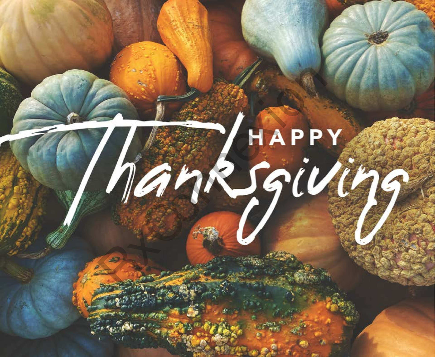 Social Media - Happy Thanksgiving