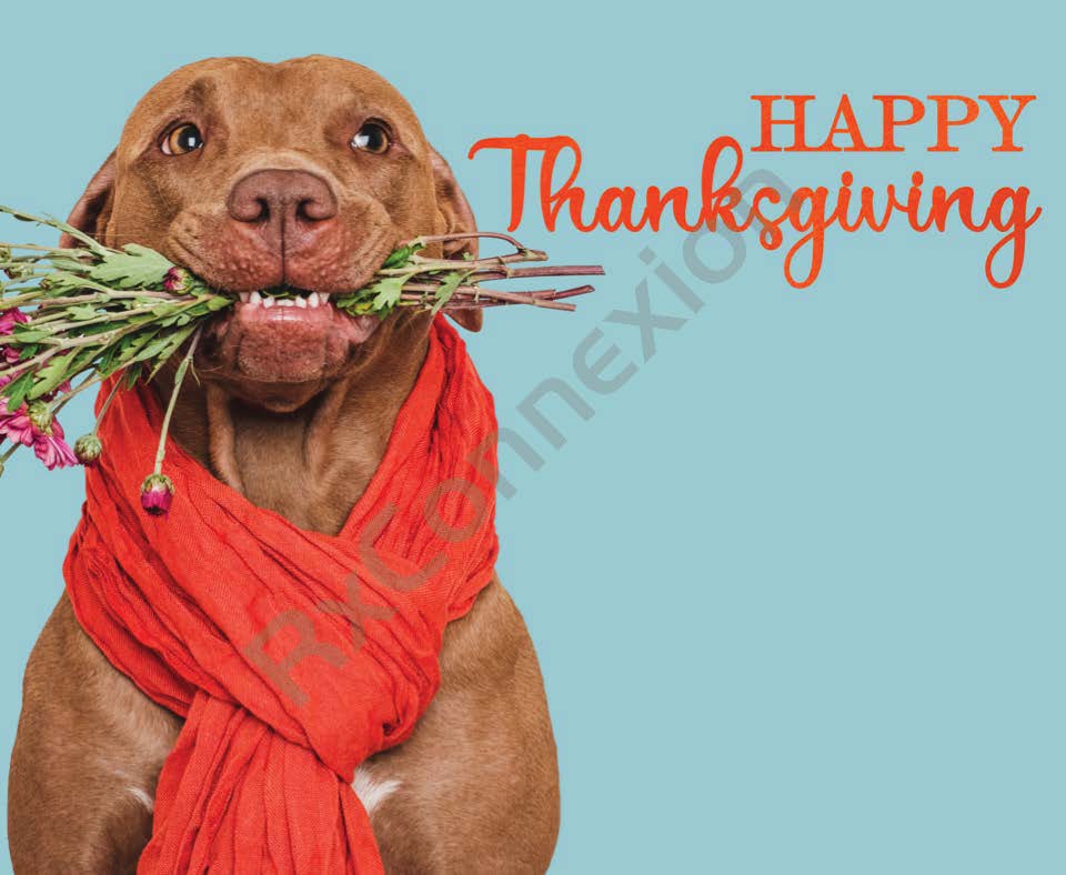 Social Media - Happy Thanksgiving