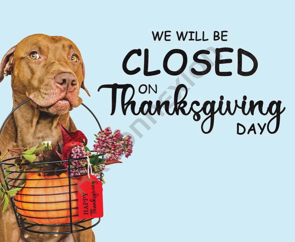 Social Media - Closed on Thanksgiving