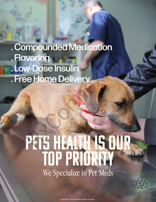 Flyer - Pet Animal Health