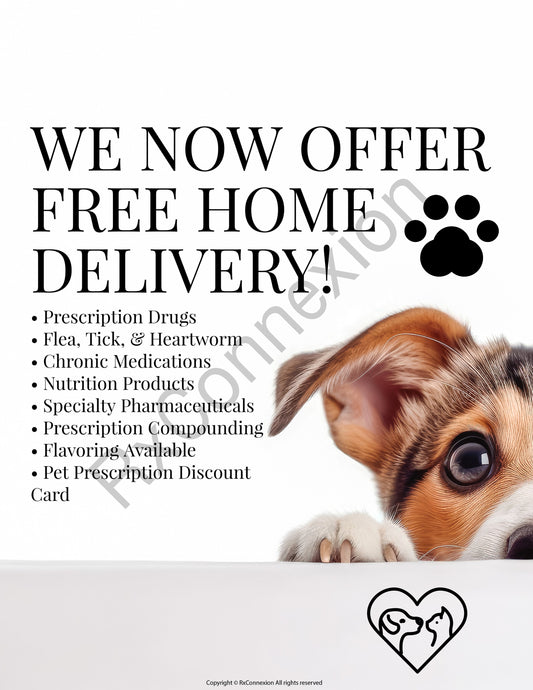 Flyer - Pet Veterinary Care
